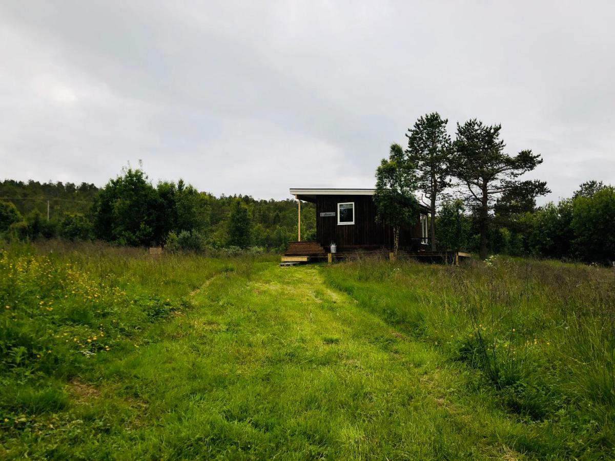 Ferienwohnung Morud Mestervik Exterior foto